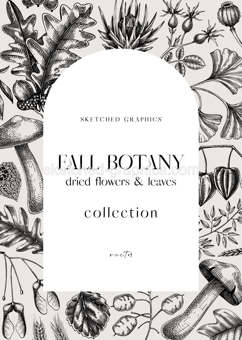 Autumn arc design with fall leaves and dried flowers. Thanksgiving background. Fall card or invitation. Sketched dried flowers, falling leaves, mushrooms, seeds frame. Vintage botanical illustration Illustration